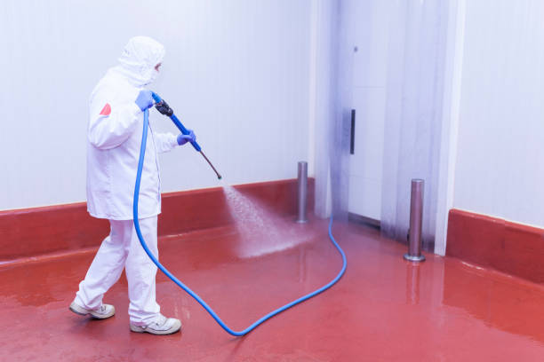 Best Patio and Deck Pressure Washing  in Clarcona, FL